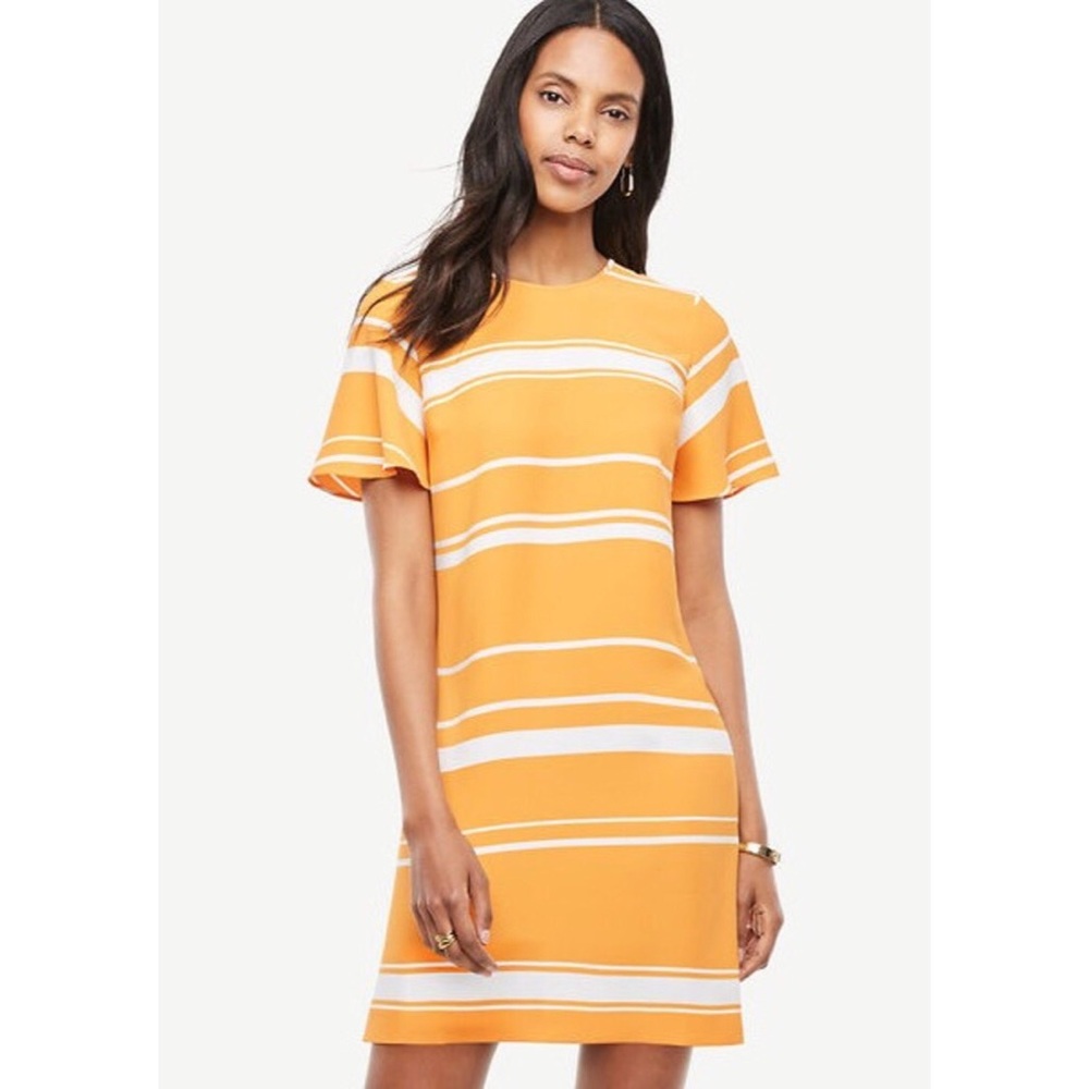 NWT Ann Taylor dress